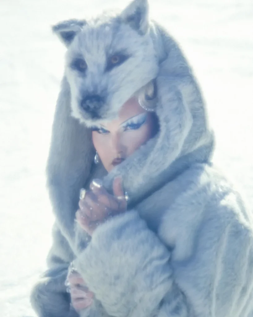 IMG_20240924_193721_272